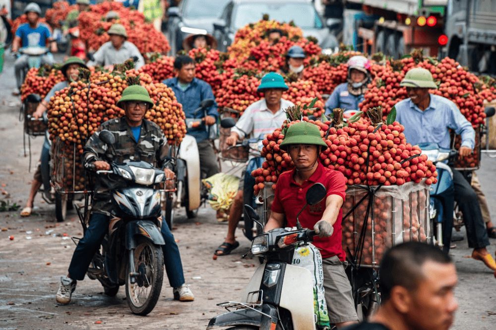 It’s common in Vietnam to see motorbikes loaded with towering stacks of goods (Source: Pexels)